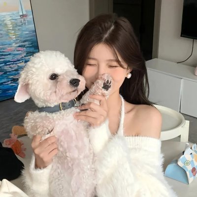 梨树花开 海报